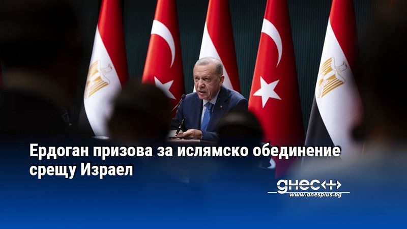 Ердоган призова за ислямско обединение срещу Израел