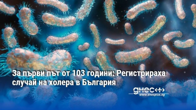 За първи път от 103 години: Регистрираха случай на холера в България