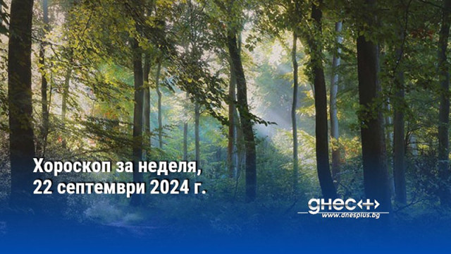 Овен Не позволявайте поради притеснението и поради финансови причини да