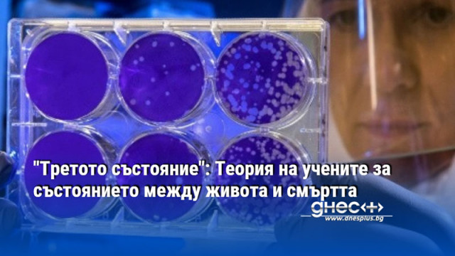 Може би си мислите че границата между живота и смъртта