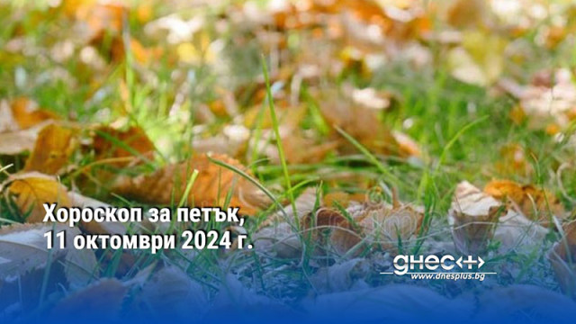 Хороскоп за петък, 11 октомври 2024 г.