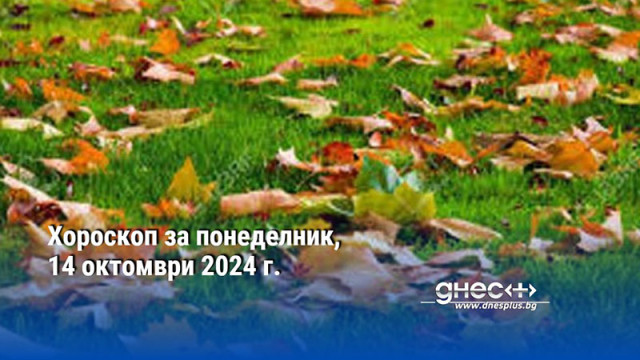 Хороскоп за понеделник, 14 октомври 2024 г.