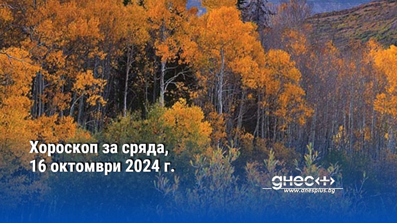 Хороскоп за сряда, 16 октомври 2024 г.