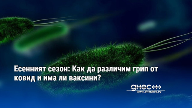 Есенният сезон: Как да различим грип от ковид и има ли ваксини?