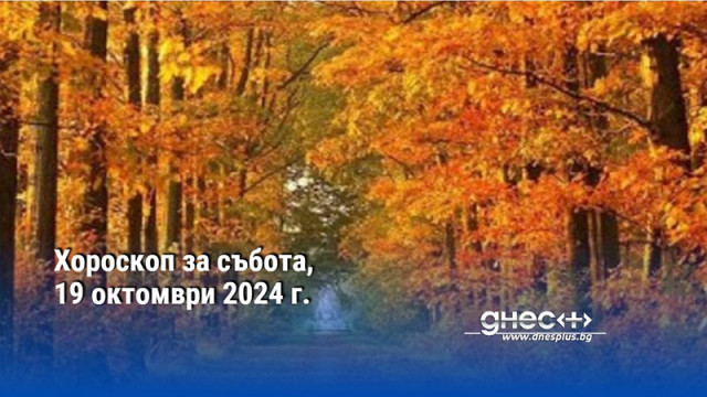 ОвенАко сте недоволни от местоработата си и мислите че заслужавате