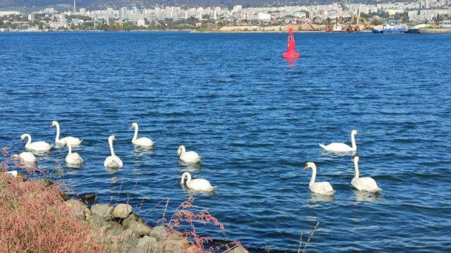 Какво ще е времето утре по морето?