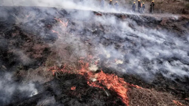 Пожар гори в момента в землището между Ягодово и Катуница