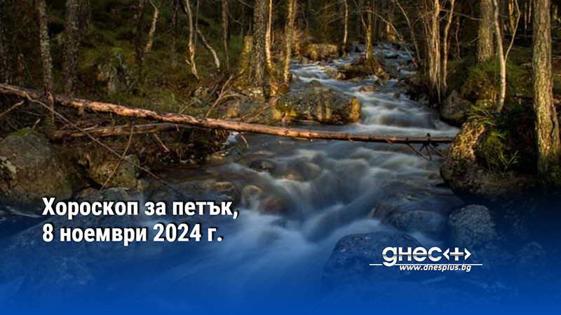 Хороскоп за петък, 8 ноември 2024 г.