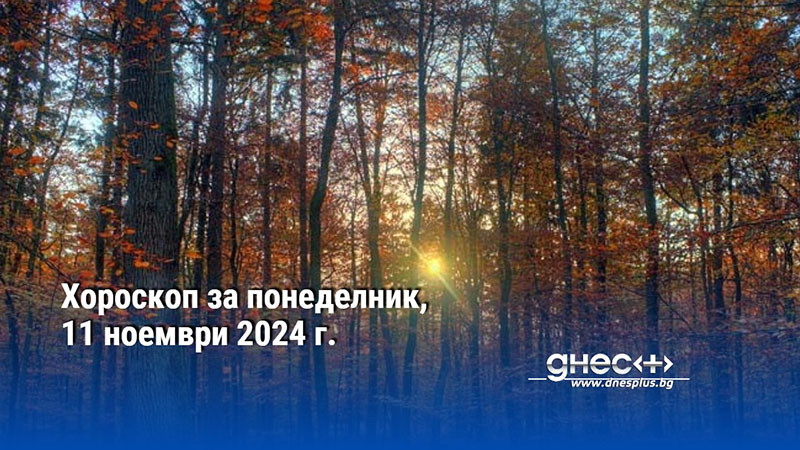 Хороскоп за понеделник, 11 ноември 2024 г.