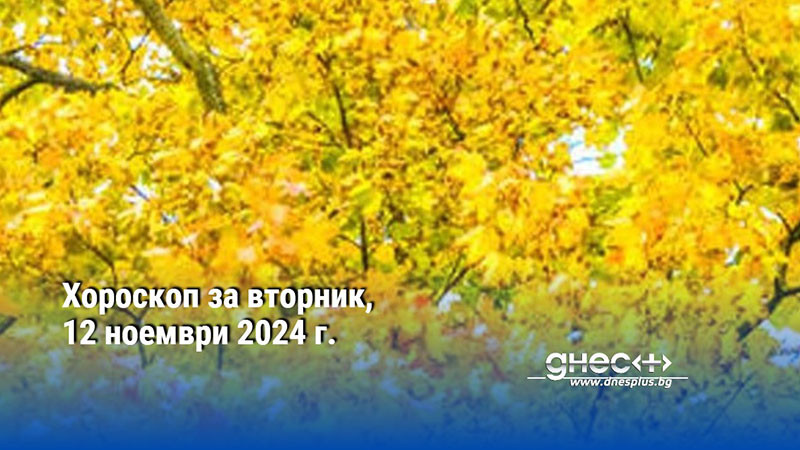 Хороскоп за вторник, 12 ноември 2024 г.