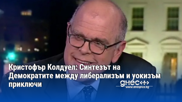 Малцинствата подкрепяха Демократическата партия главно по практически причини През 60 те