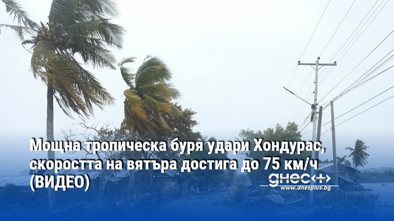 Мощна тропическа буря удари Хондурас, скоростта на вятъра достига до 75 км/ч (ВИДЕО)