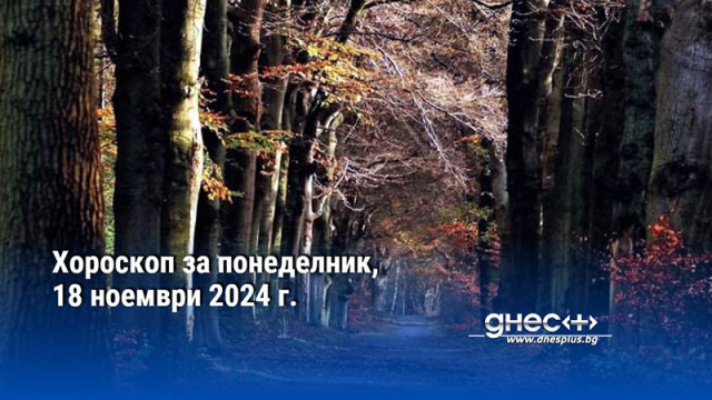 ОвенОвните днес не трябва прекалено дълго да се колебаят опитвайки