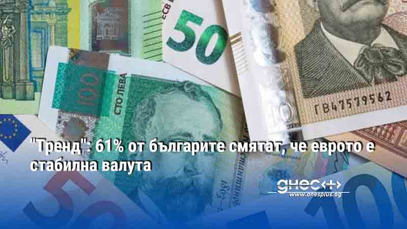 "Тренд": 61% от българите смятат, че еврото е стабилна валута