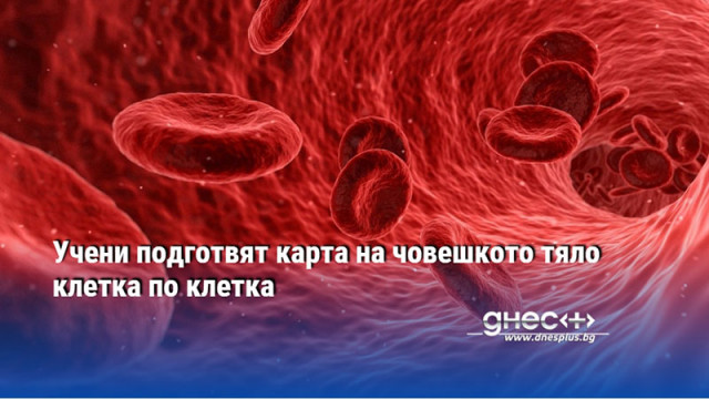 Работата по него е започнала през 2016 г Изследователи са