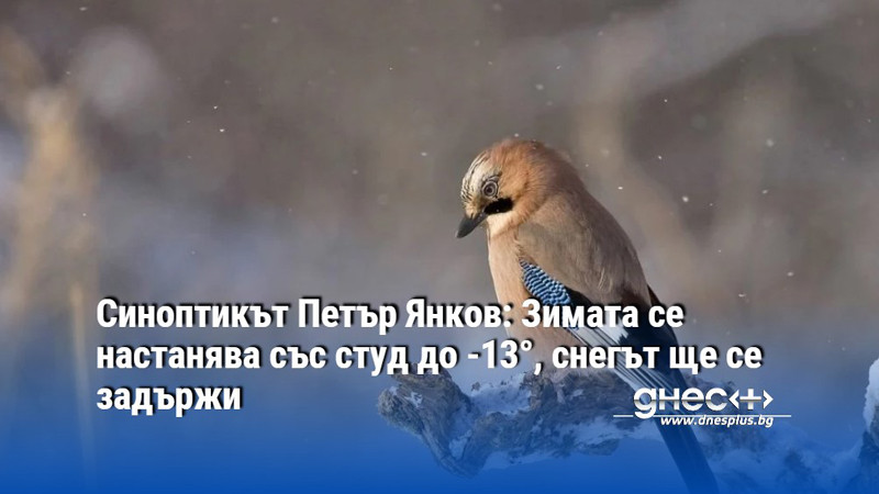 Синоптикът Петър Янков: Зимата се настанява със студ до -13°, снегът ще се задържи