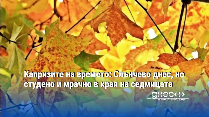 Капризите на времето: Слънчево днес, но студено и мрачно в края на седмицата