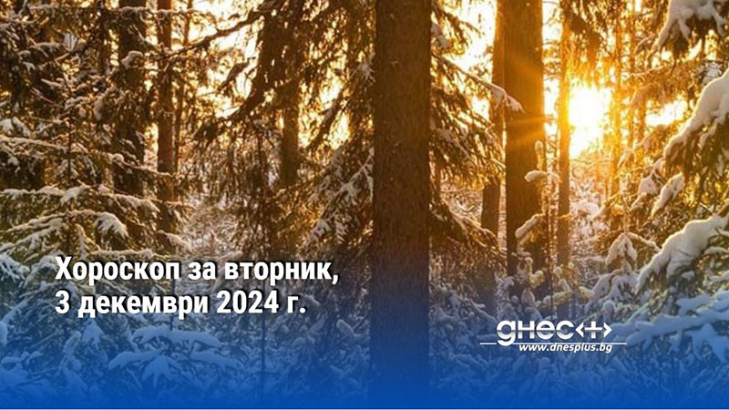 Хороскоп за вторник, 3 декември 2024 г.