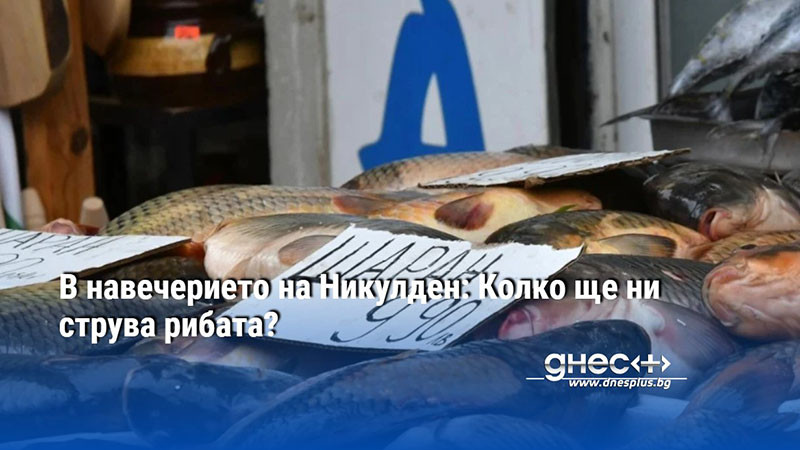 В навечерието на Никулден: Колко ще ни струва рибата?