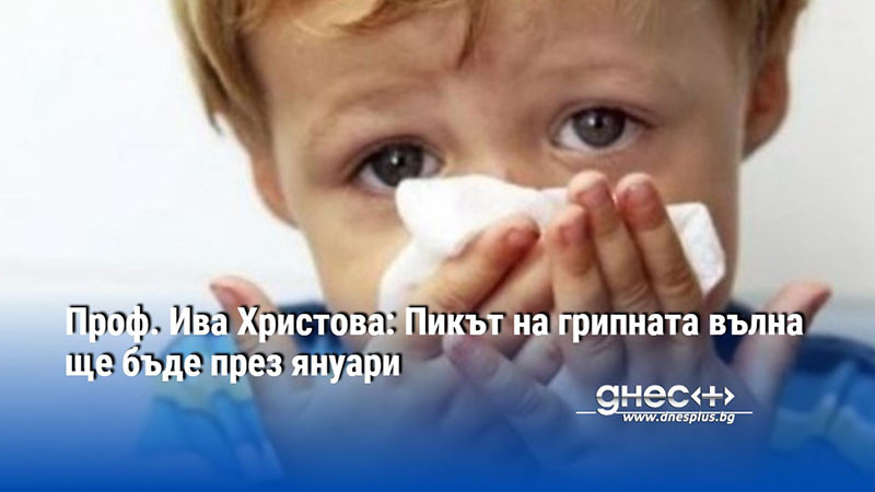Проф. Ива Христова: Пикът на грипната вълна ще бъде през януари