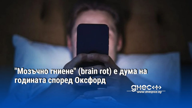 "Мозъчно гниене" (brain rot) е дума на годината според Оксфорд