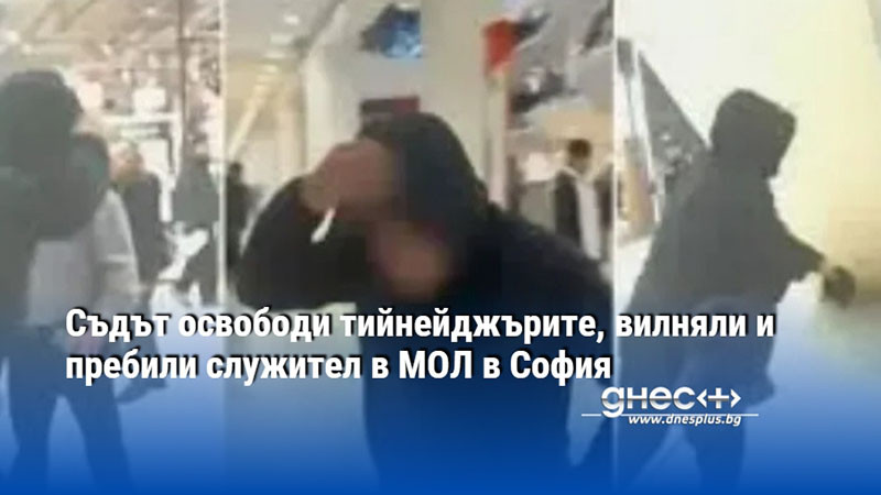 Съдът освободи тийнейджърите, вилняли и пребили служител в МОЛ в София