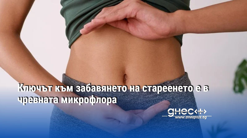 Ключът към забавянето на стареенето е в чревната микрофлора