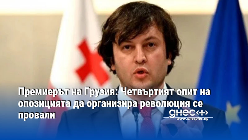 Премиерът на Грузия: Четвъртият опит на опозицията да организира революция се провали