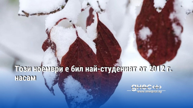 Ноември 2024 г е бил най студеният ноември от 2012 г