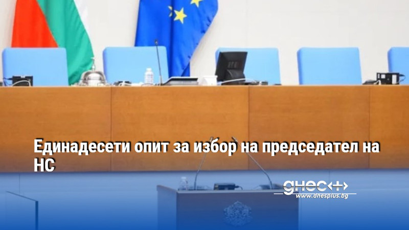 Единадесети опит за избор на председател на НС