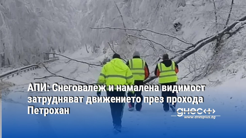 АПИ: Снеговалеж и намалена видимост затрудняват движението през прохода Петрохан