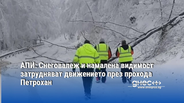 АПИ: Снеговалеж и намалена видимост затрудняват движението през прохода Петрохан