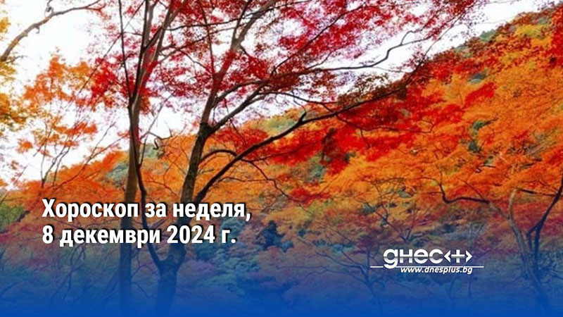 Хороскоп за неделя, 8 декември 2024 г.