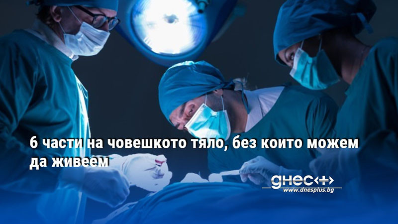 6 части на човешкото тяло, без които можем да живеем