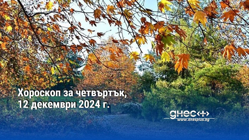 Хороскоп за четвъртък, 12 декември 2024 г.