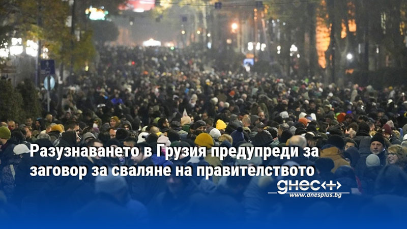 Разузнаването в Грузия предупреди за заговор за сваляне на правителството