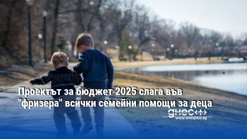 Проектът за бюджет 2025 слага във "фризера" всички семейни помощи за деца