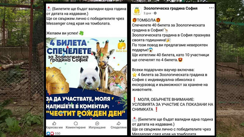 Фалшива фейсбук страница предлага промоции от името на Софийския зоопарк
