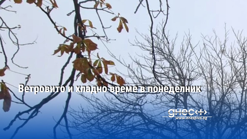 Ветровито и хладно време в понеделник