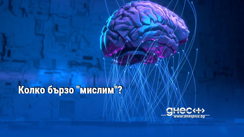 Колко бързо "мислим"?