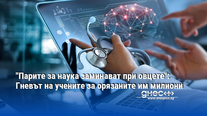 "Парите за наука заминават при овцете": Гневът на учените за орязаните им милиони