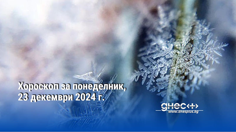 Хороскоп за понеделник, 23 декември 2024 г.