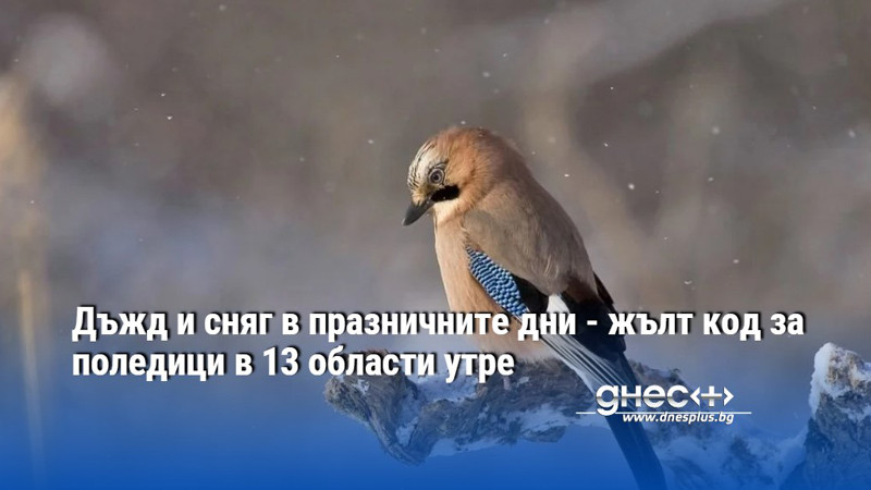 Дъжд и сняг в празничните дни - жълт код за поледици в 13 области утре