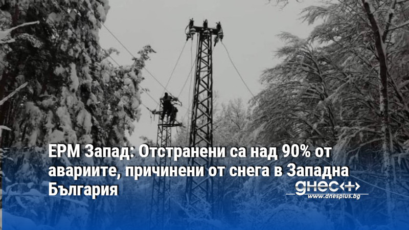 ЕРМ Запад: Отстранени са над 90% от авариите, причинени от снега в Западна България