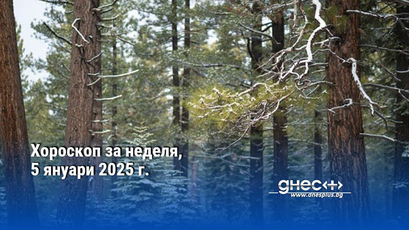 Хороскоп за неделя, 5 януари 2025 г.