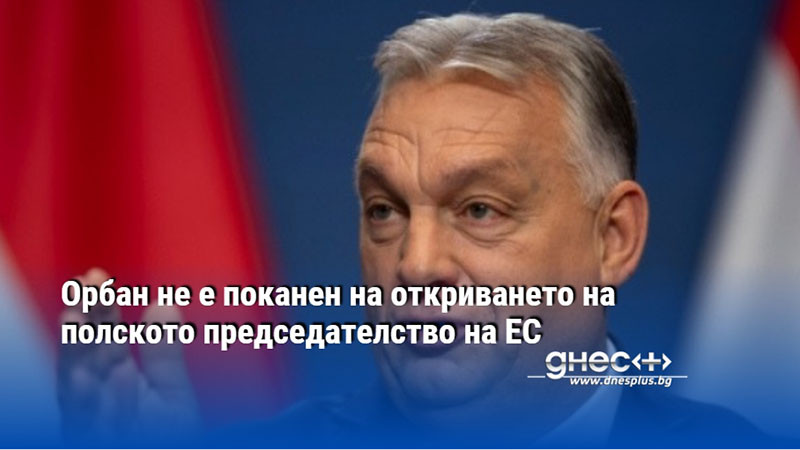 Полският премиер Доналд Туск е е критичен към унгарският си