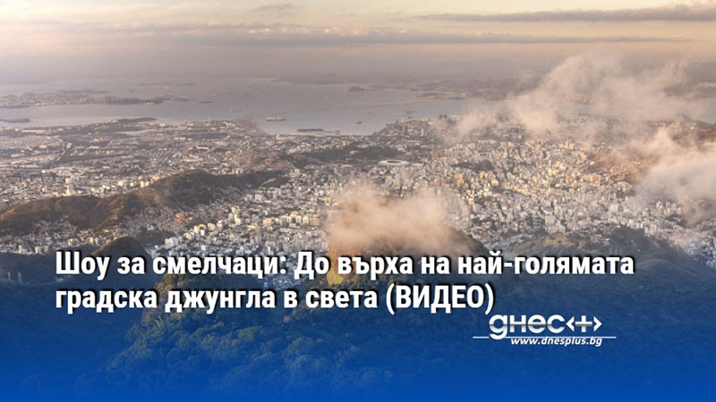 Шоу за смелчаци: До върха на най-голямата градска джунгла в света (ВИДЕО)