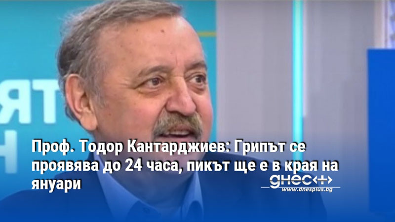 Проф. Тодор Кантарджиев: Грипът се проявява до 24 часа, пикът ще е в края на януари