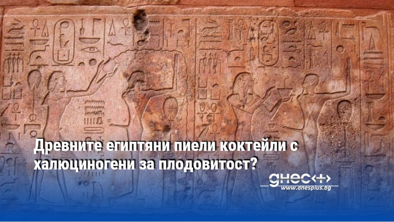 Древните египтяни пиели коктейли с халюциногени за плодовитост?