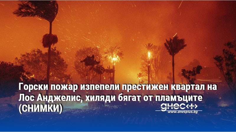 Горски пожар изпепели престижен квартал на Лос Анджелис, хиляди бягат от пламъците (СНИМКИ)